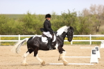 SBM_007501
