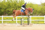 SBM_005572