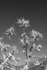 829_2987 copy
