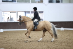 SBM_02429