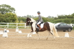 SBM_007129