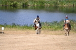 WJ6_9181