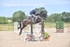 BPP_4746