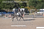 BPP_8233
