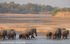 Crossing the Luangwa river