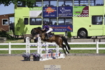 Cls 26 Pony Foxhunter & 1.10m Open portfolio