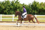 SBM_007637