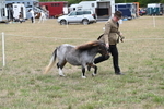 WJ6_5419
