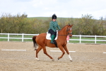 SBM_002596
