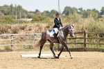 SBM_003470