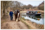 Towing under horse power