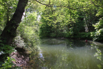 River Frome _B0217