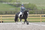 BPP_8807