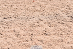 230609A-104625-00321