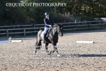 BPP_9162
