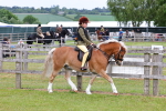 SBM_08539
