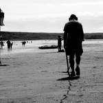 Metal Detector