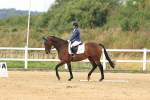 SBM_000379