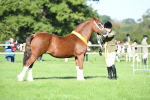 SBM_35562