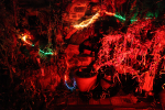 Dartmoor _ DR 016