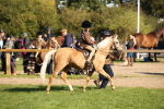 SBM_35747