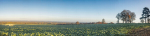 panorama5