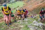 Stybarrow Dodd-431