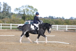 SBM_002270