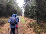 016 Heading through Windy Gill ridge