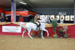 SBM_09898