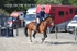 BPP_7959