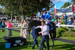 240824-Race 5-Elmonjed-1583