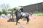 Cls 6A+B Snr British Novice and 90cm portfolio