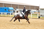 SBM_000579