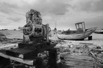 Dungeness