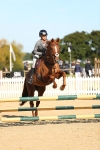 J33 - Senior 75cm Championship portfolio