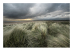 Easterly