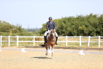 SBM_009317