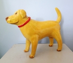 Yellow Labrador