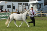 SBM_00548