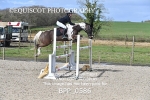 BPP_0586