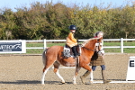SBM_000246