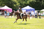 SBM_15645
