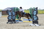 _DSC8024