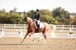 SBM_016861