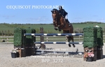 BPP_3272