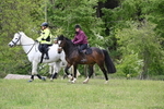 WJ6_1851