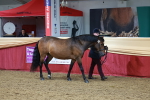 SBM_17318