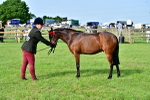 SBM_00953