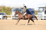 SBM_07366